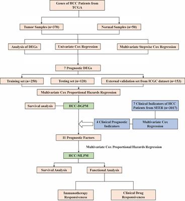 Multilayered insights: a machine learning approach for personalized prognostic assessment in hepatocellular carcinoma